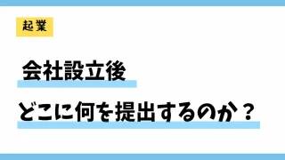 会社設立後どこに何を提出するのか？税務署や年金事務所などへの提出書類を一覧にして解説！